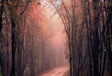 哪里买世界杯 -归去来兮，柯洁大聖(shèng)归来